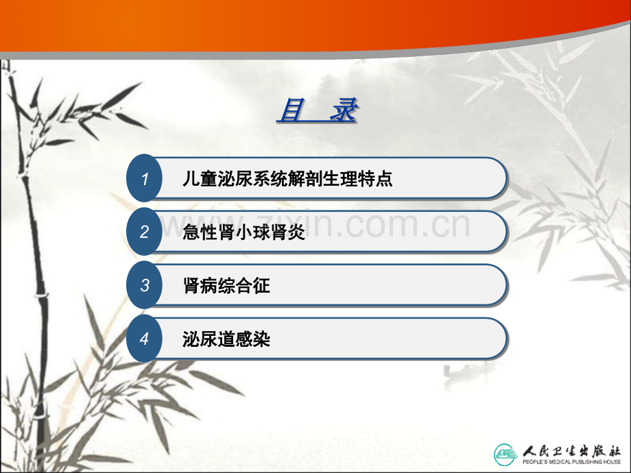 泌尿系统疾病患儿护理-PPT.ppt_第2页