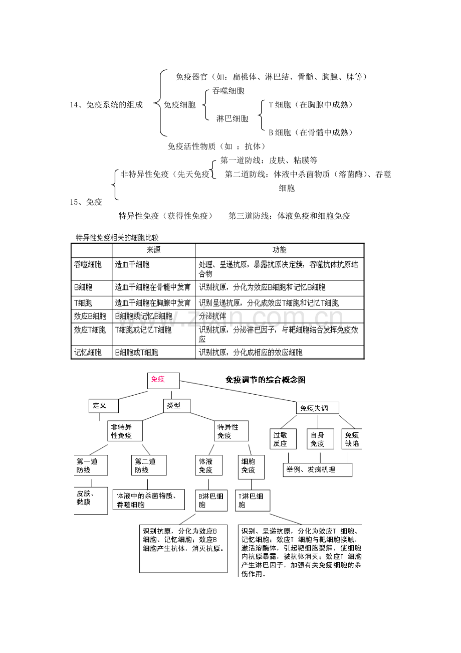 第二章动物和人体生命活动的调节知识点复习.pdf_第3页