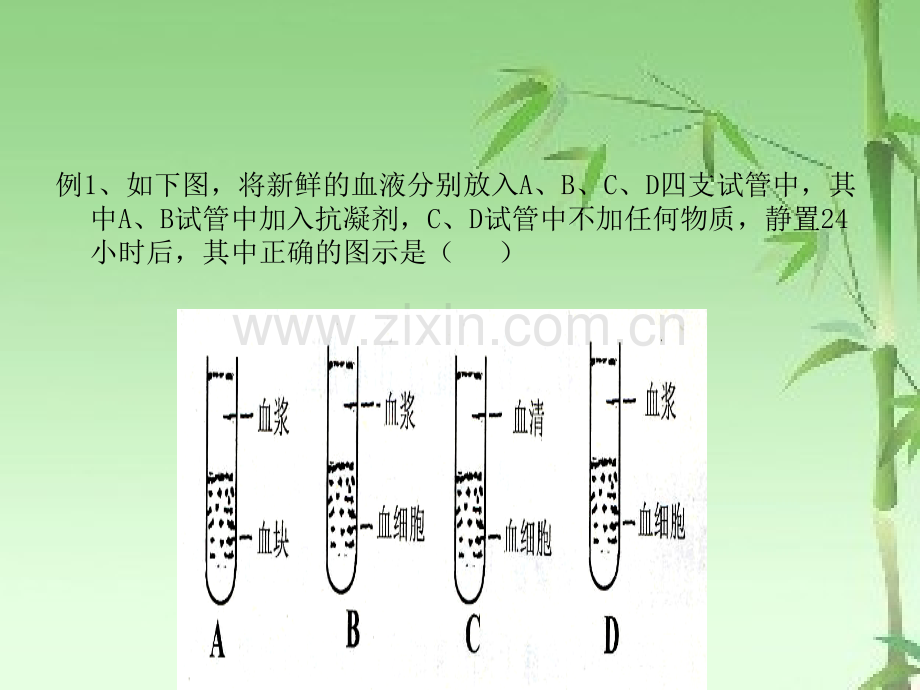 血液的组成和功能ppt.ppt_第3页