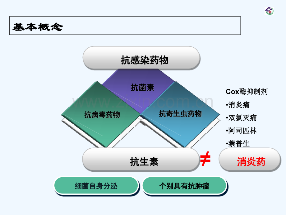 各类抗菌药物特点精华总结-PPT.ppt_第2页