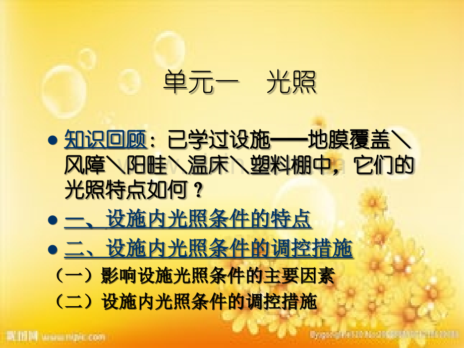 设施环境的特点及调控-PPT.ppt_第3页