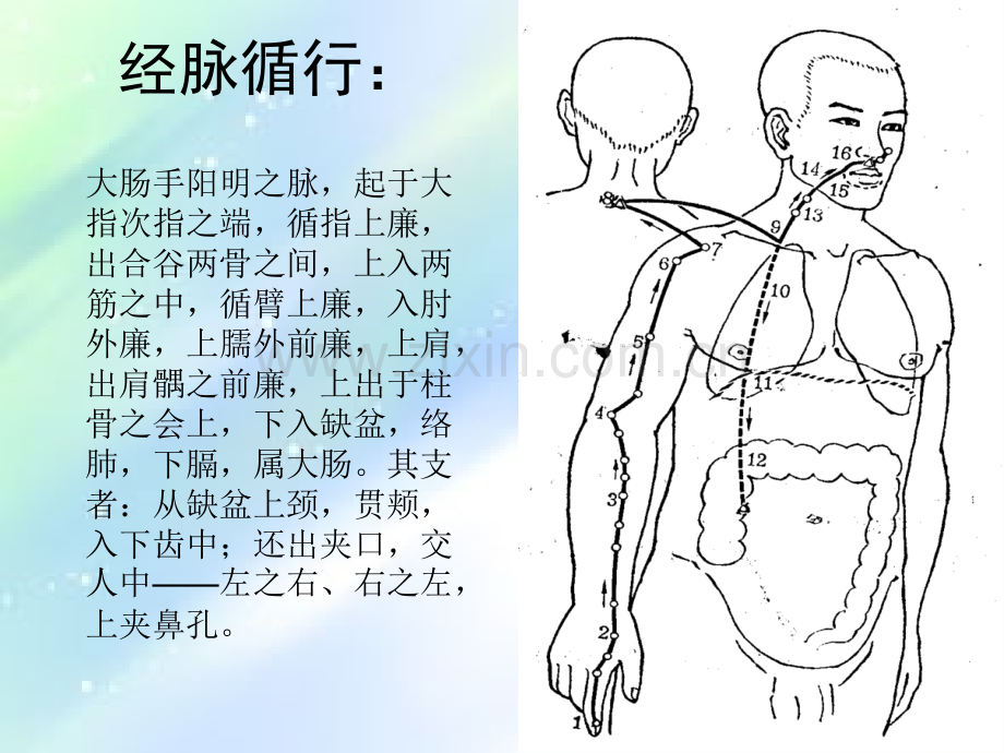 手三阳经课件-PPT.ppt_第3页