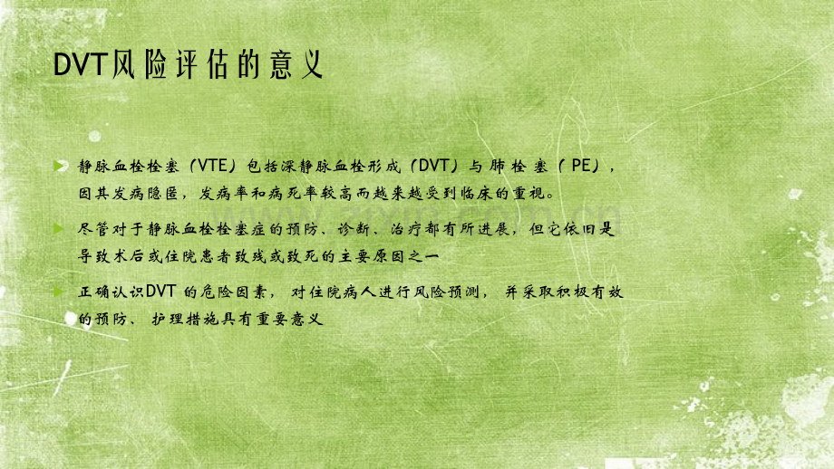 DVT评估工具的选择ppt.ppt_第2页