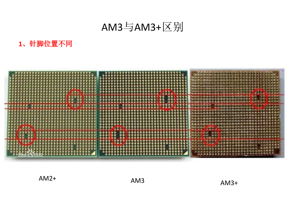 AMD接口区别.ppt_第2页