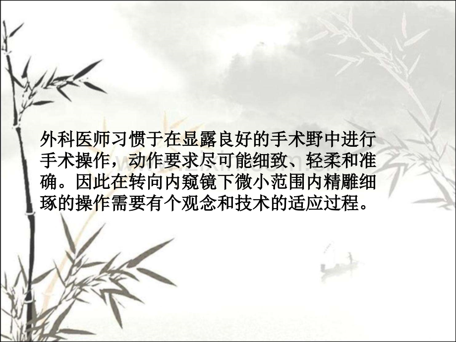 腹腔镜外科医师的规范操作ppt.ppt_第2页