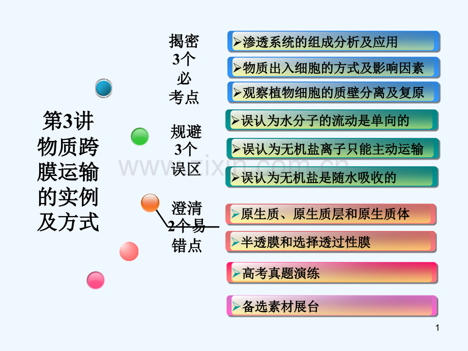 物质跨膜运输的实例及方式-PPT课件.ppt_第1页