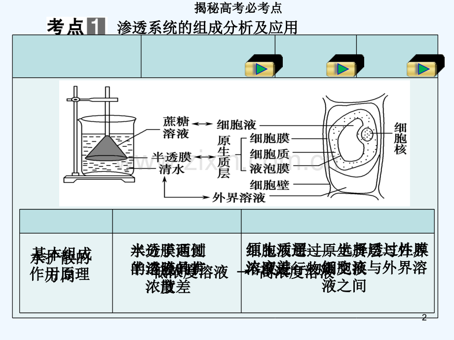 物质跨膜运输的实例及方式-PPT课件.ppt_第2页