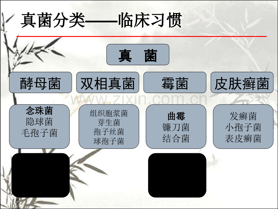 抗真菌药物总结ppt.ppt_第3页