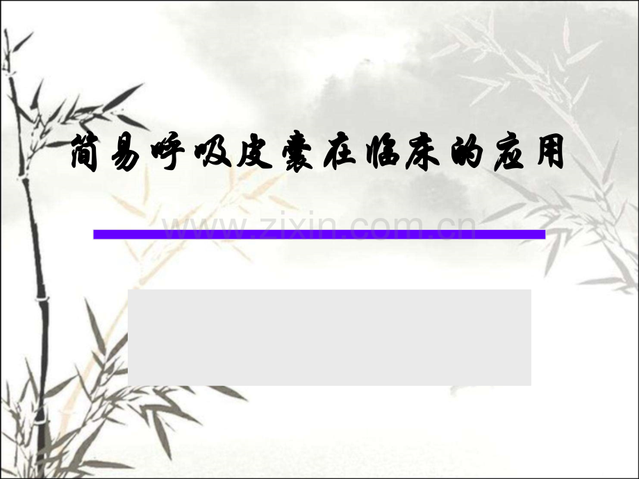 简易呼吸皮囊ppt课件.ppt_第1页