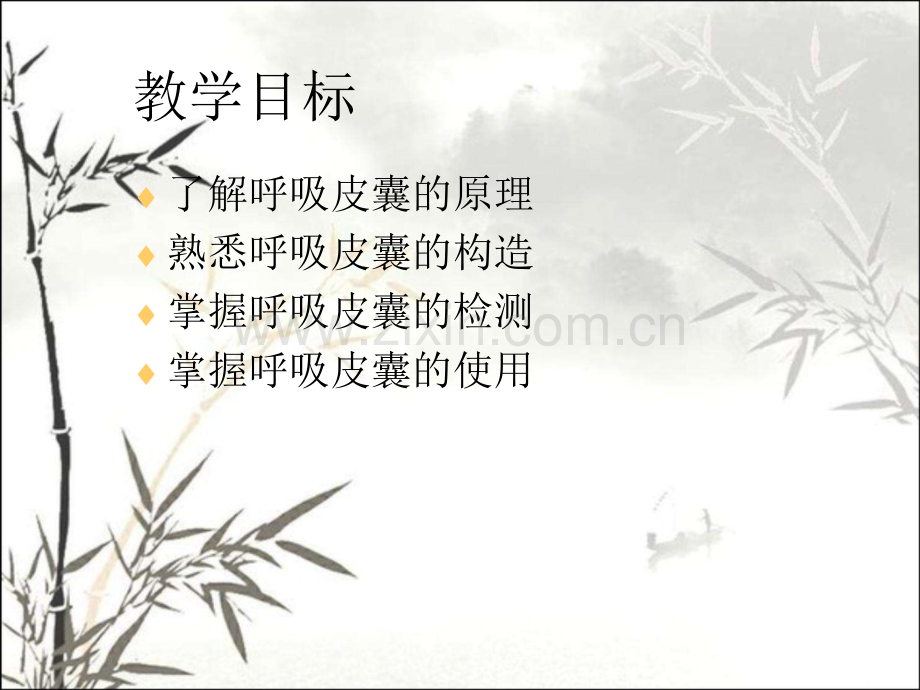 简易呼吸皮囊ppt课件.ppt_第2页