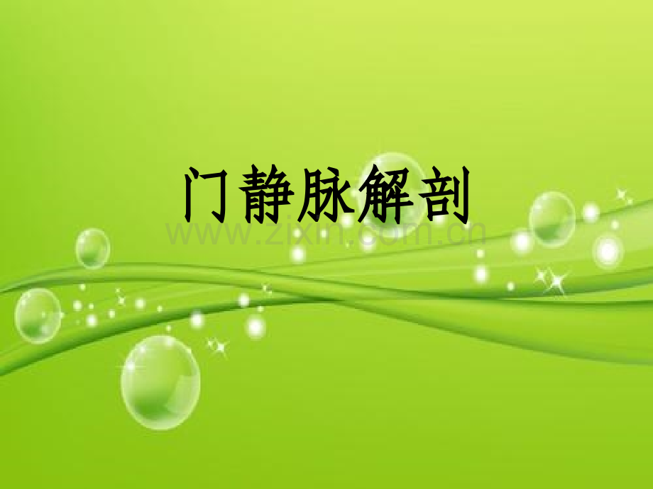 门静脉解剖-PPT.ppt_第2页