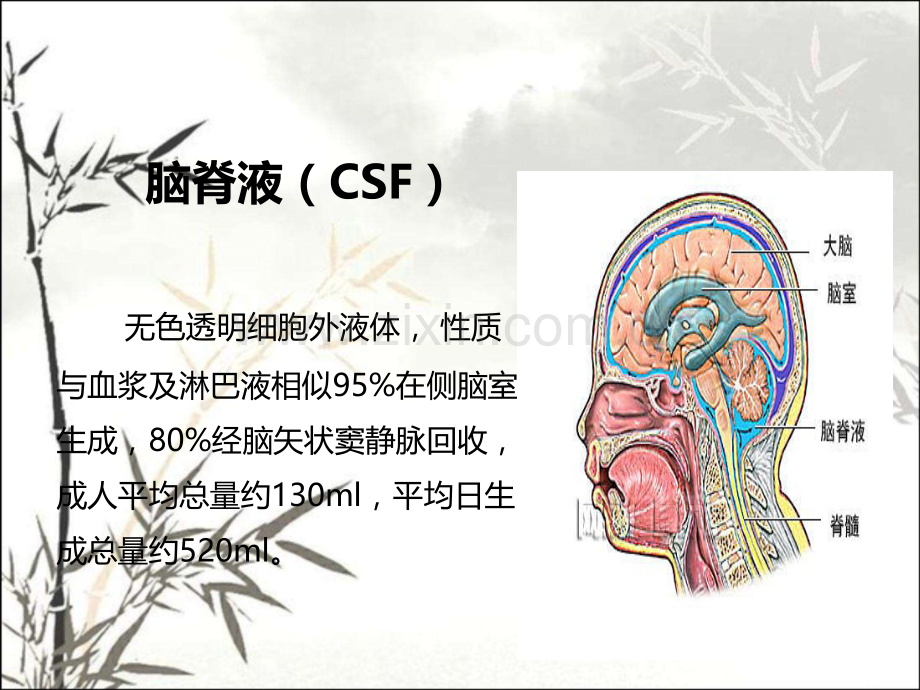 腰椎术后脑脊液漏护理ppt.ppt_第3页