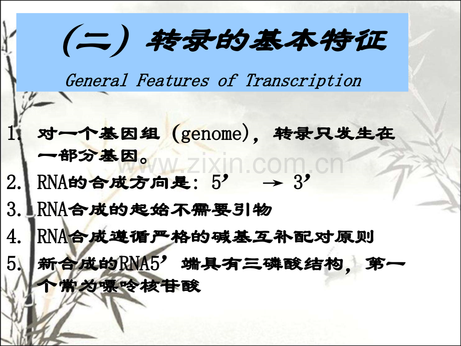 原核生物与真核生物转录时候的区别ppt课件.ppt_第3页