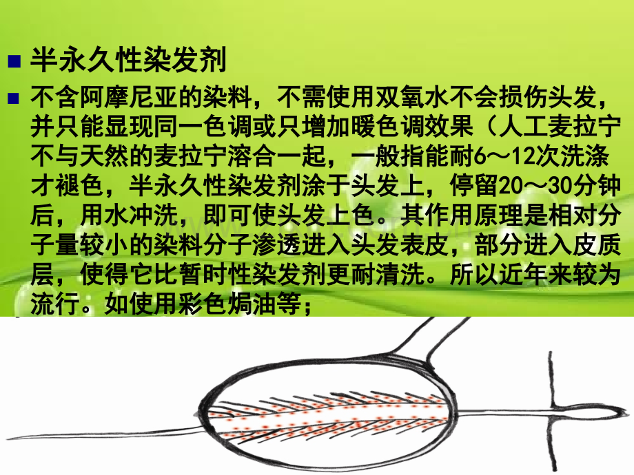 染发课程染膏的成份和原理-PPT.ppt_第3页