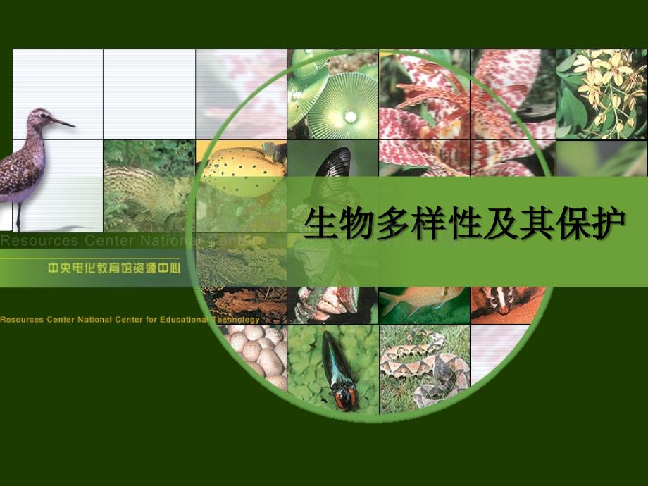 生物多样性ppt课件.ppt_第1页