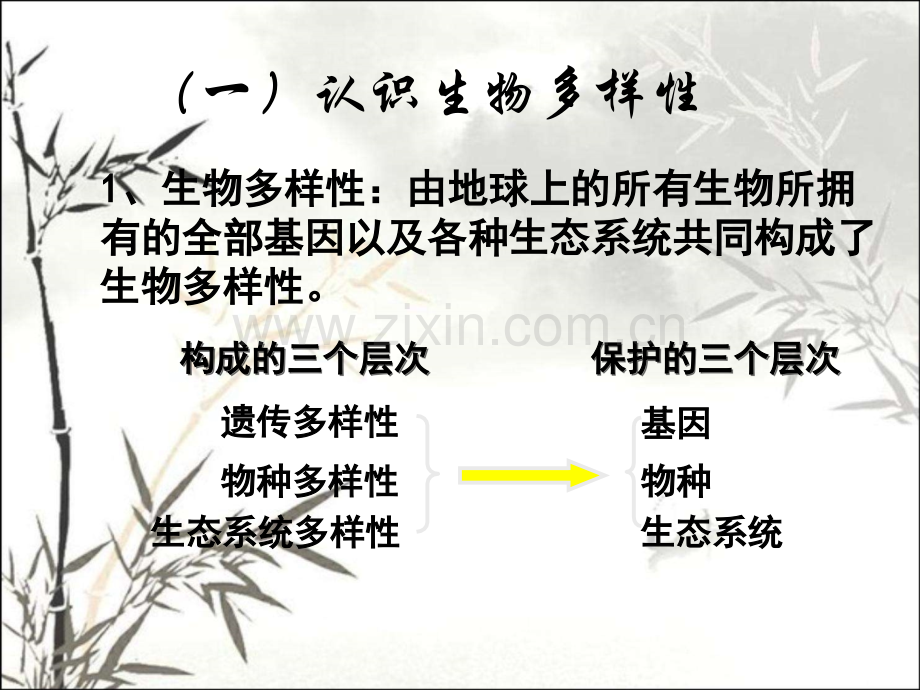 生物多样性ppt课件.ppt_第3页