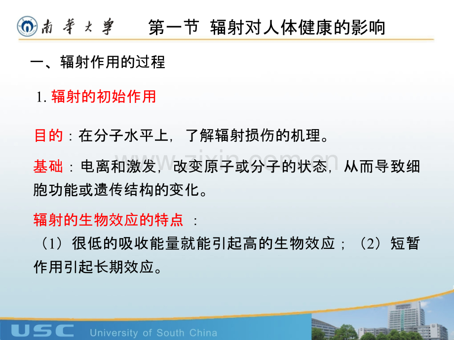 第三章辐射对人体的影响和防护标准.ppt_第3页