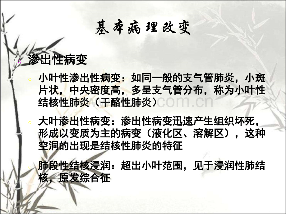 肺结核(TB)的影像学表现ppt课件.ppt_第3页