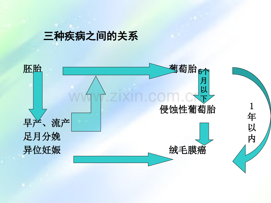 第十六章--妊娠滋养细胞疾病病人的护理-PPT.ppt_第3页