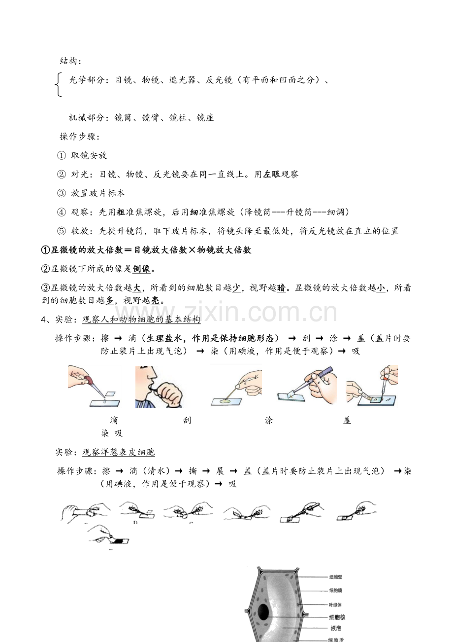 生物七年级上册知识点汇总(北师大版).doc_第3页