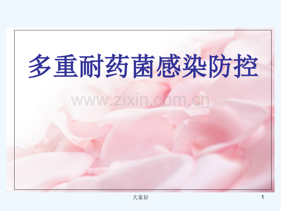 多重耐药菌感染防控-PPT.ppt_第1页