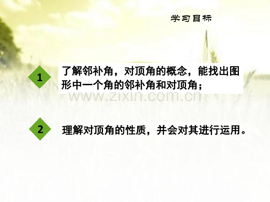 北师大版七年级数学下册二相交线与平行线全套ppt.ppt_第3页