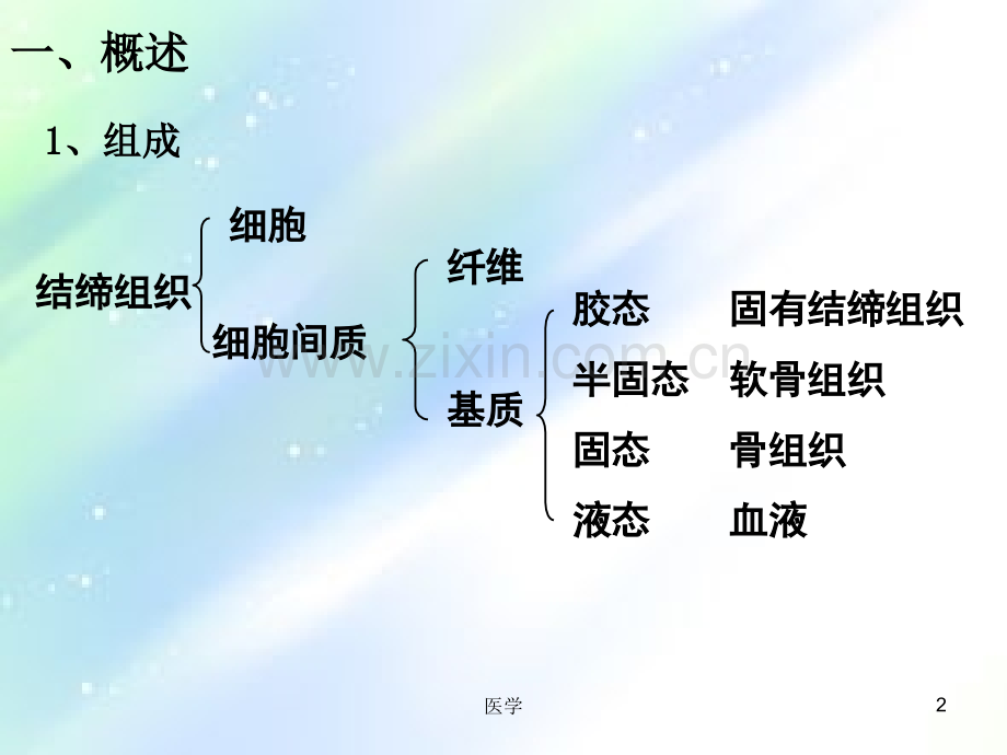 组织学与胚胎学结缔组织ppt.ppt_第2页