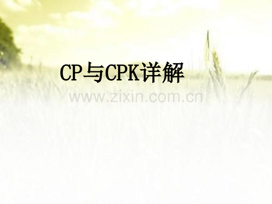 CPK与CP详细讲解资料ppt.ppt_第1页