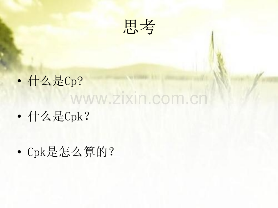 CPK与CP详细讲解资料ppt.ppt_第2页