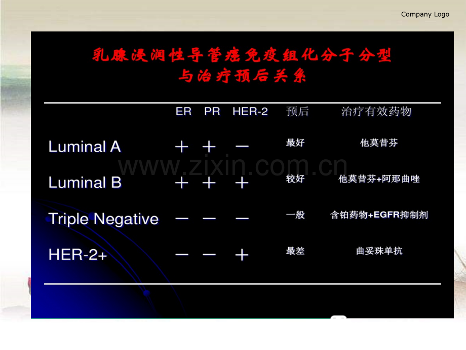 妇科恶性肿瘤的病理分子表型ppt.ppt_第3页