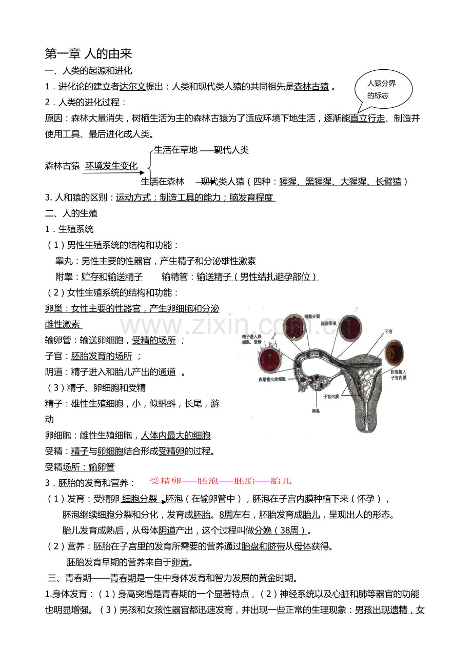 初中生物七年级下册知识点整理.pdf_第1页