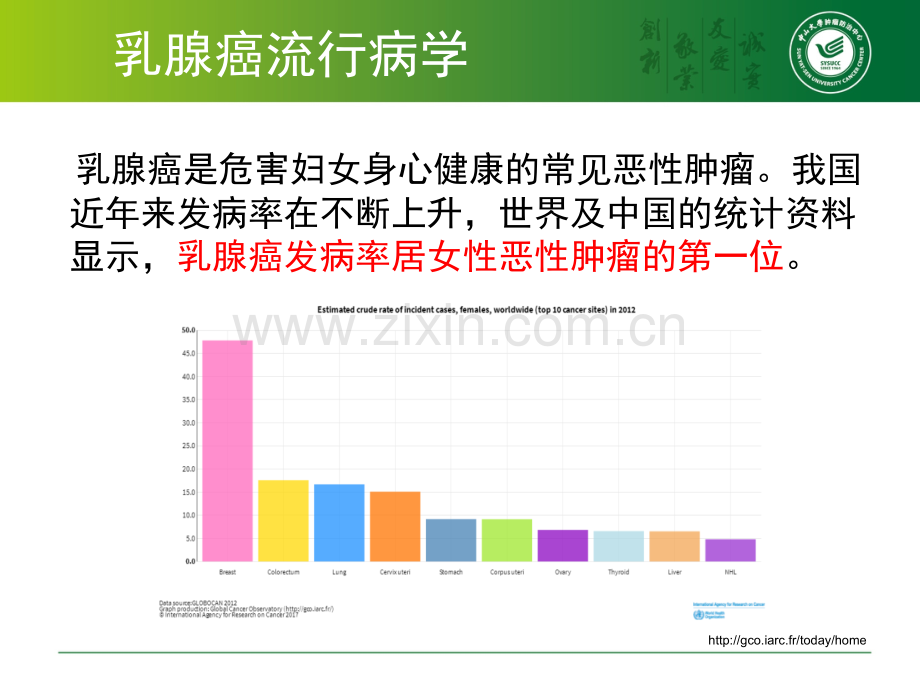 乳腺癌防治基础知识-PPT.ppt_第2页