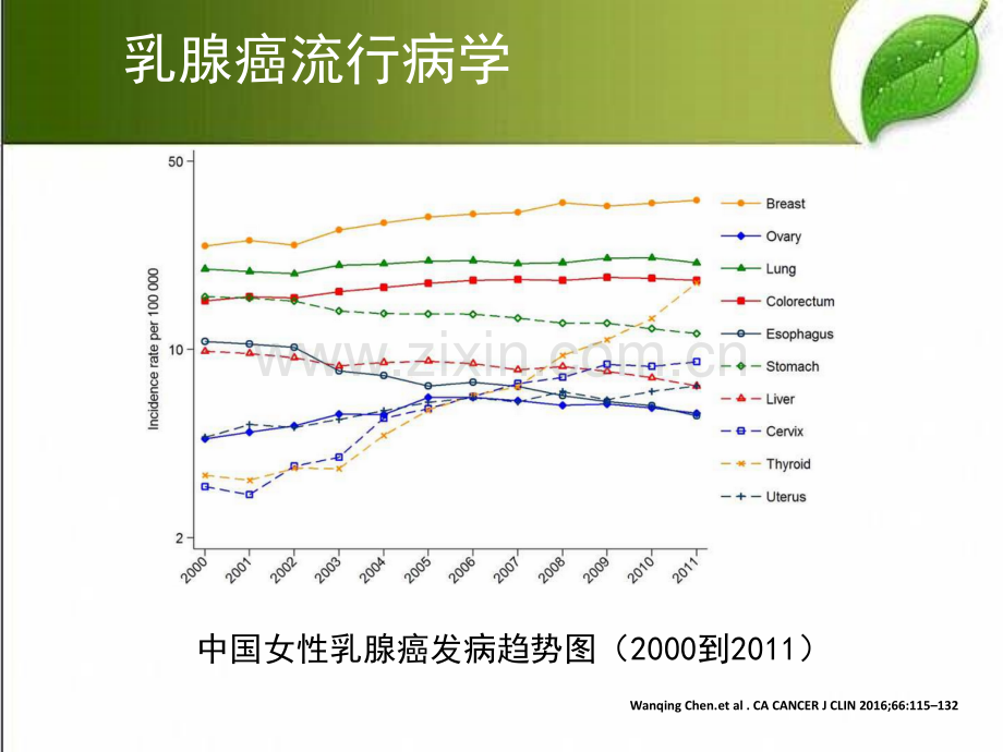 乳腺癌防治基础知识-PPT.ppt_第3页