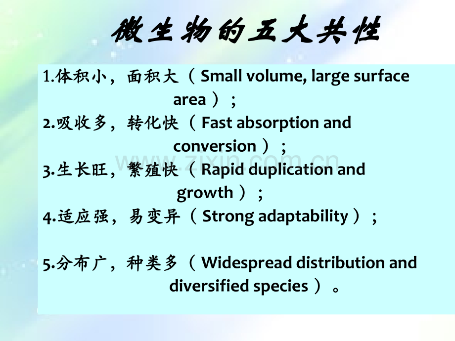 微生物的5大共性-PPT.ppt_第2页