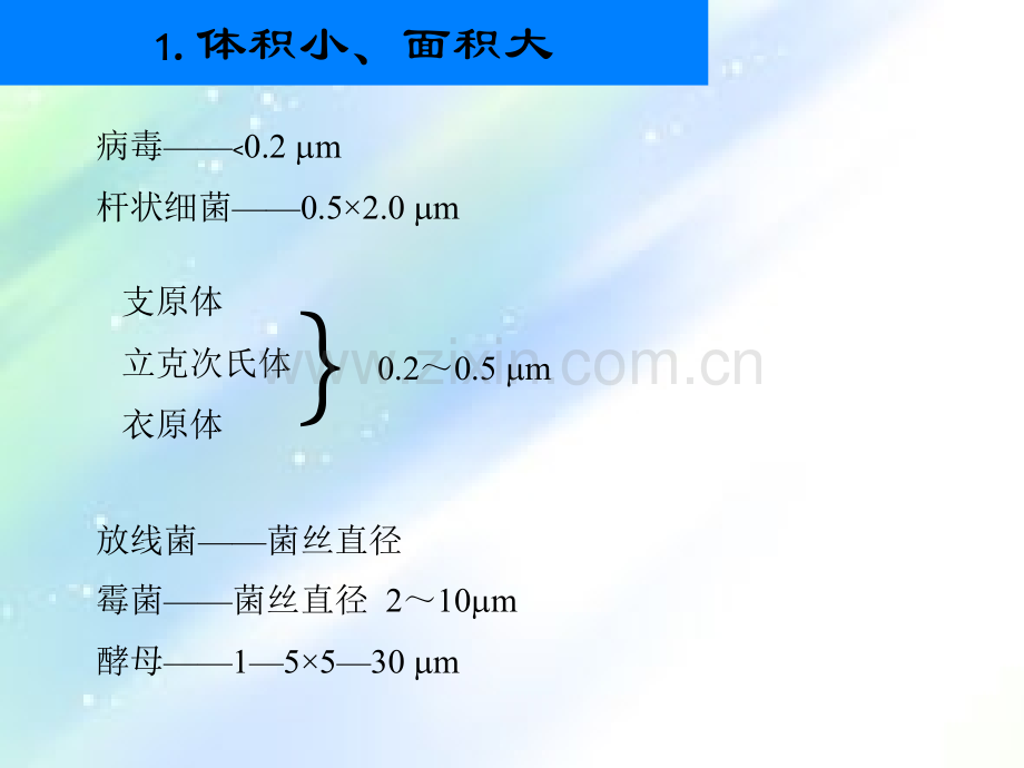 微生物的5大共性-PPT.ppt_第3页