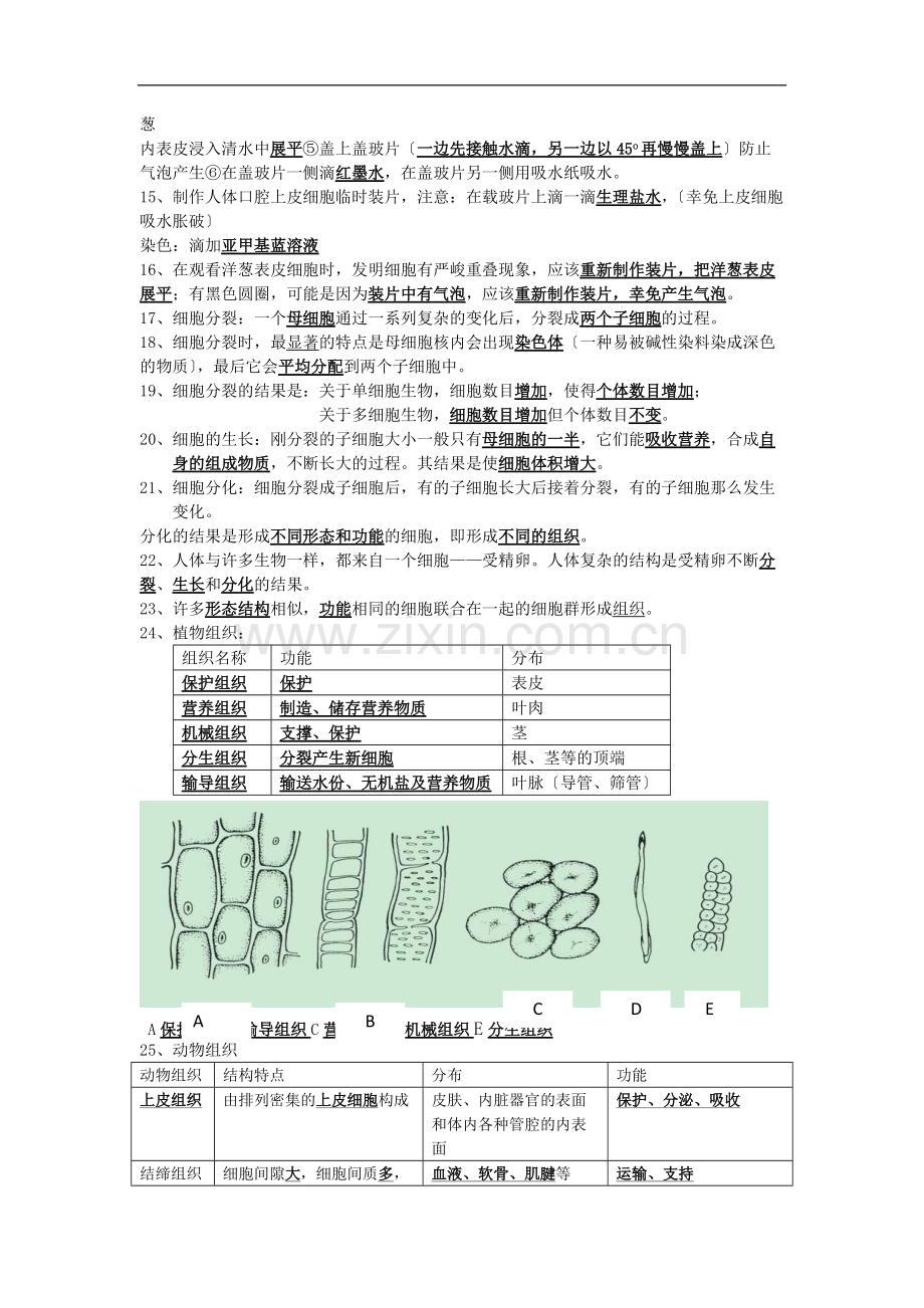 科学初一上浙教版第二章观察生物知识点(重点画出).pdf_第2页