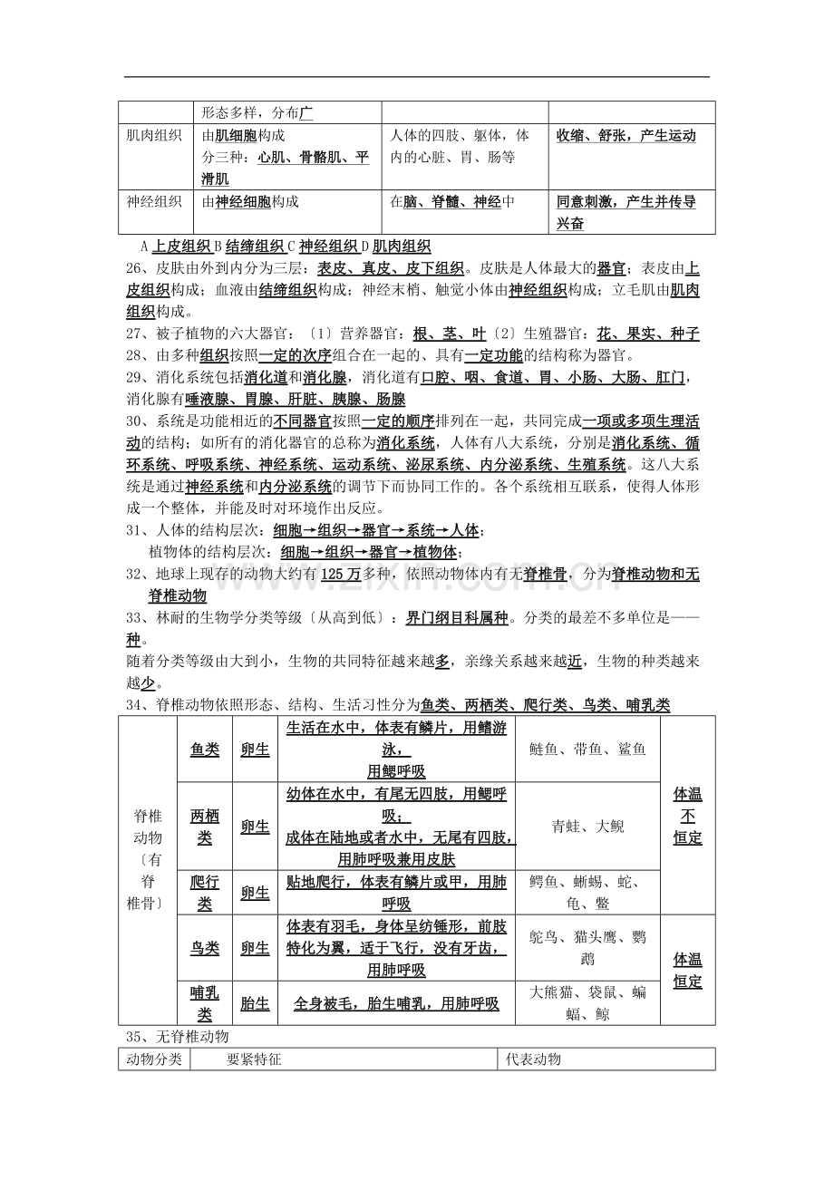 科学初一上浙教版第二章观察生物知识点(重点画出).pdf_第3页