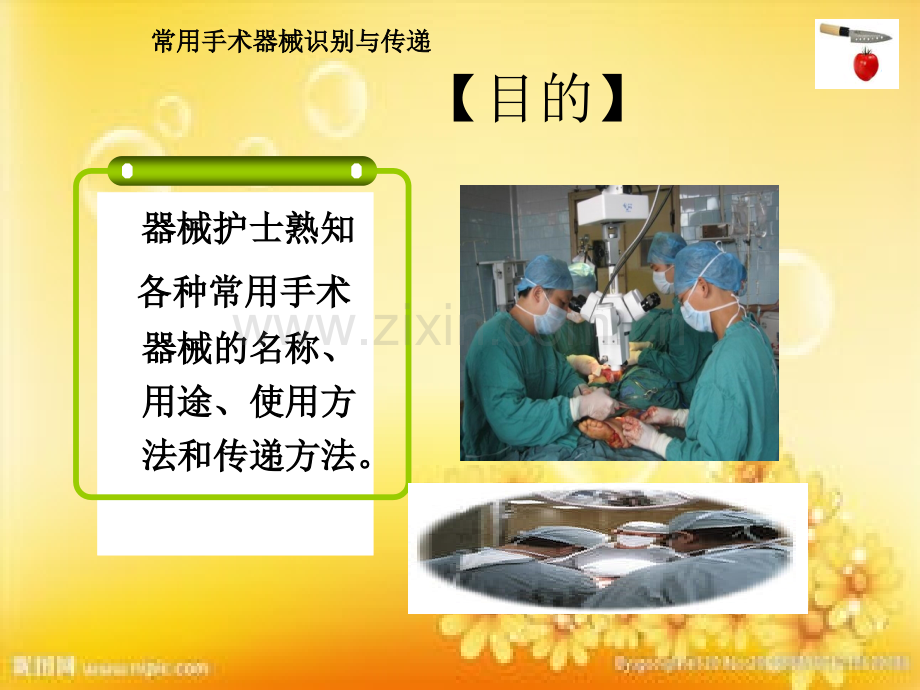 常用手术器械的识别与传递.ppt_第3页