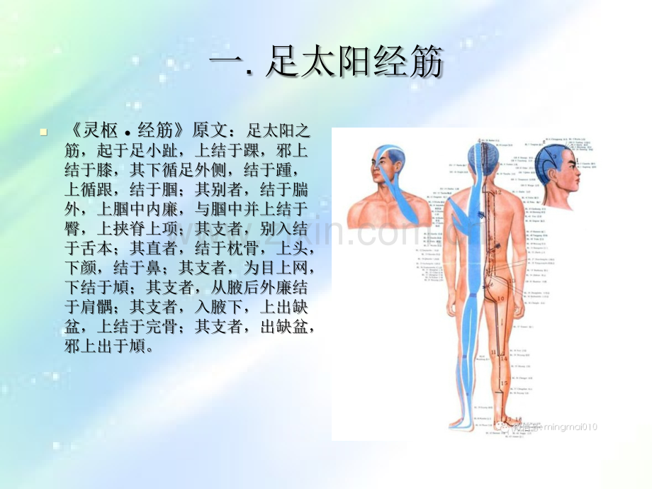 十二经筋概述-PPT.ppt_第2页