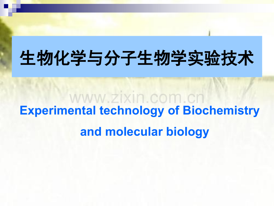 生物化学与分子生物学实验技术-PPT.ppt_第1页