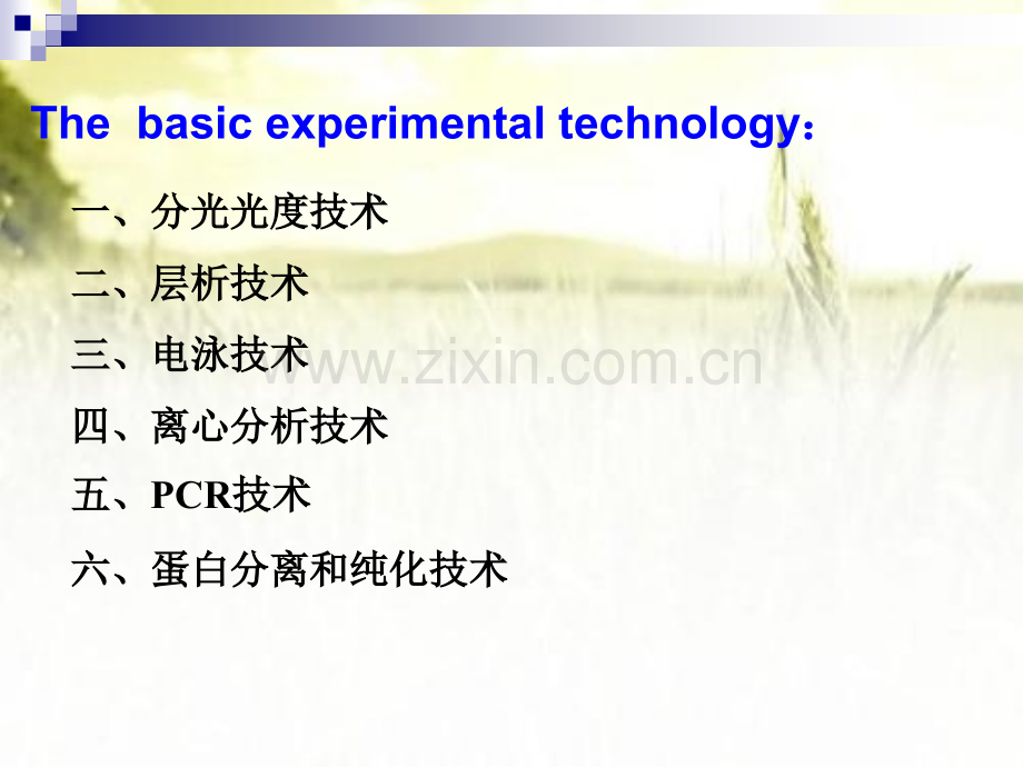 生物化学与分子生物学实验技术-PPT.ppt_第3页