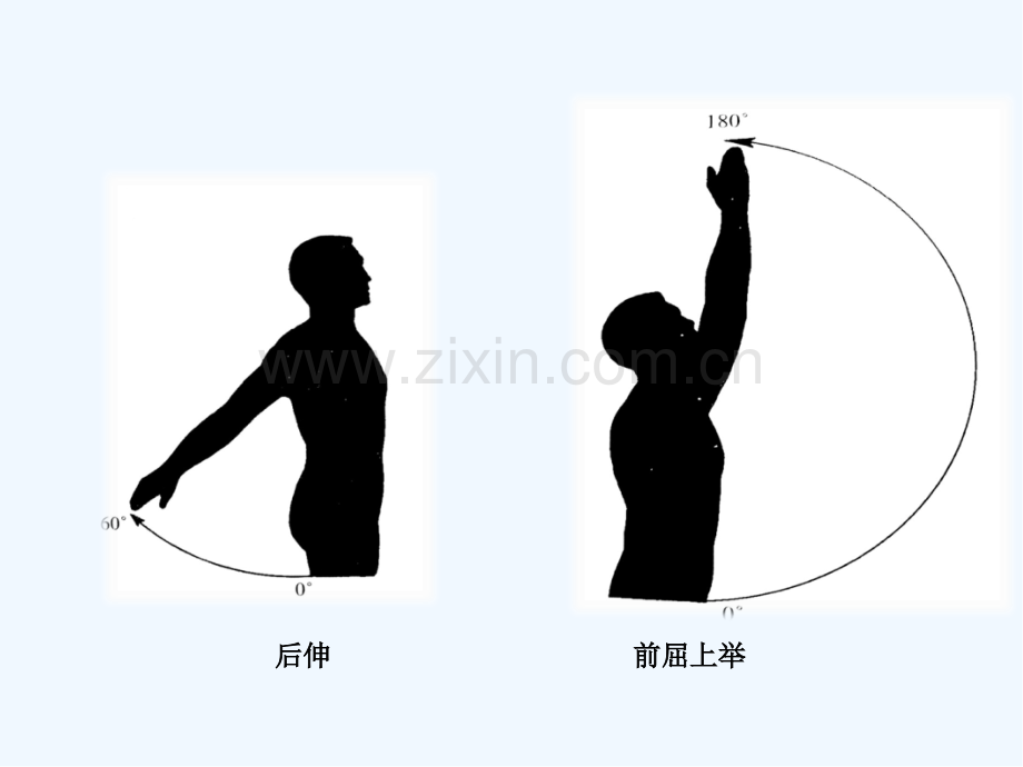 肩袖损伤教学查房ppt.pptx_第3页