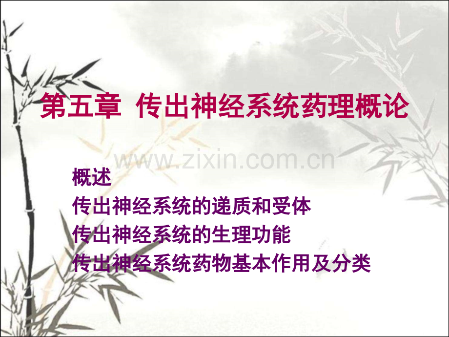 传出神经系统药理概论.ppt_第1页