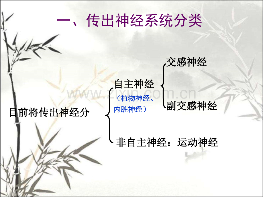 传出神经系统药理概论.ppt_第3页