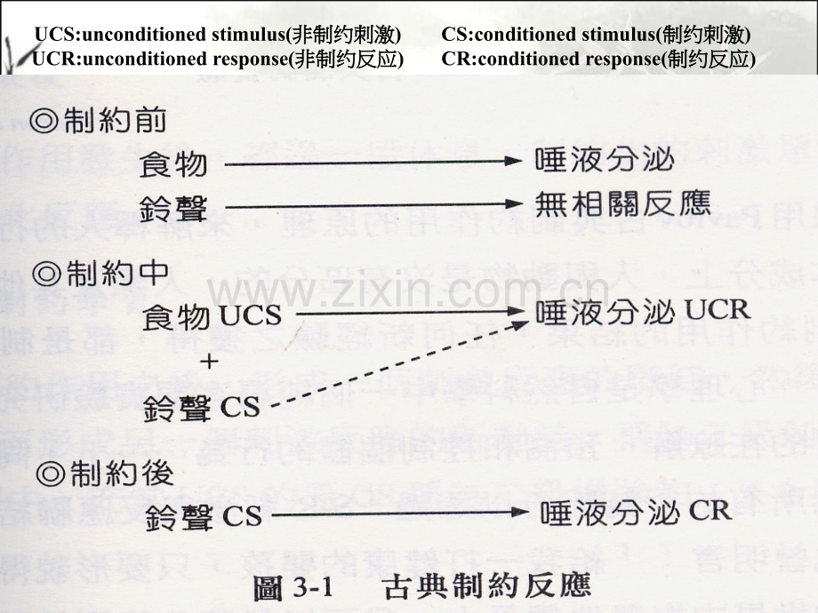 行为主义理论与教学原理.pptx_第3页