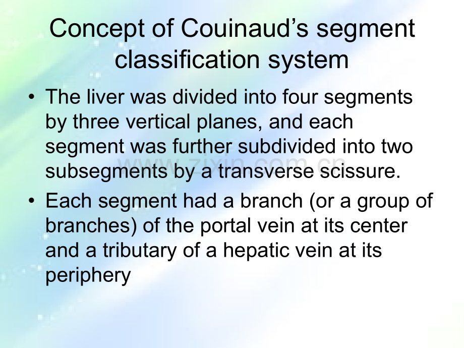 肝脏解剖分段-PPT.ppt_第3页