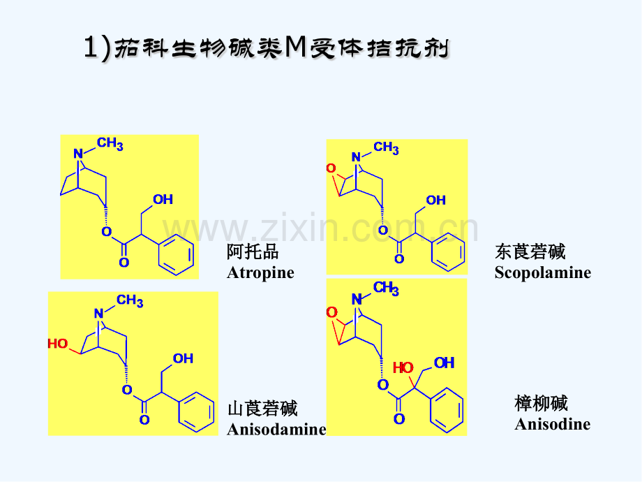 胆碱受体拮抗剂.pptx_第2页