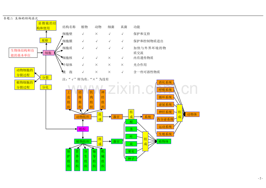 初中生物知识点结构网络图.doc_第2页