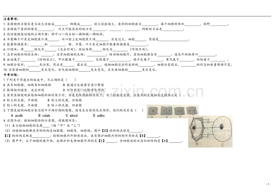 初中生物知识点结构网络图.doc_第3页