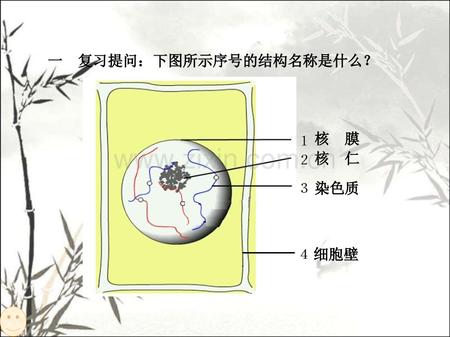 细胞的增殖公开课课件ppt.ppt_第2页